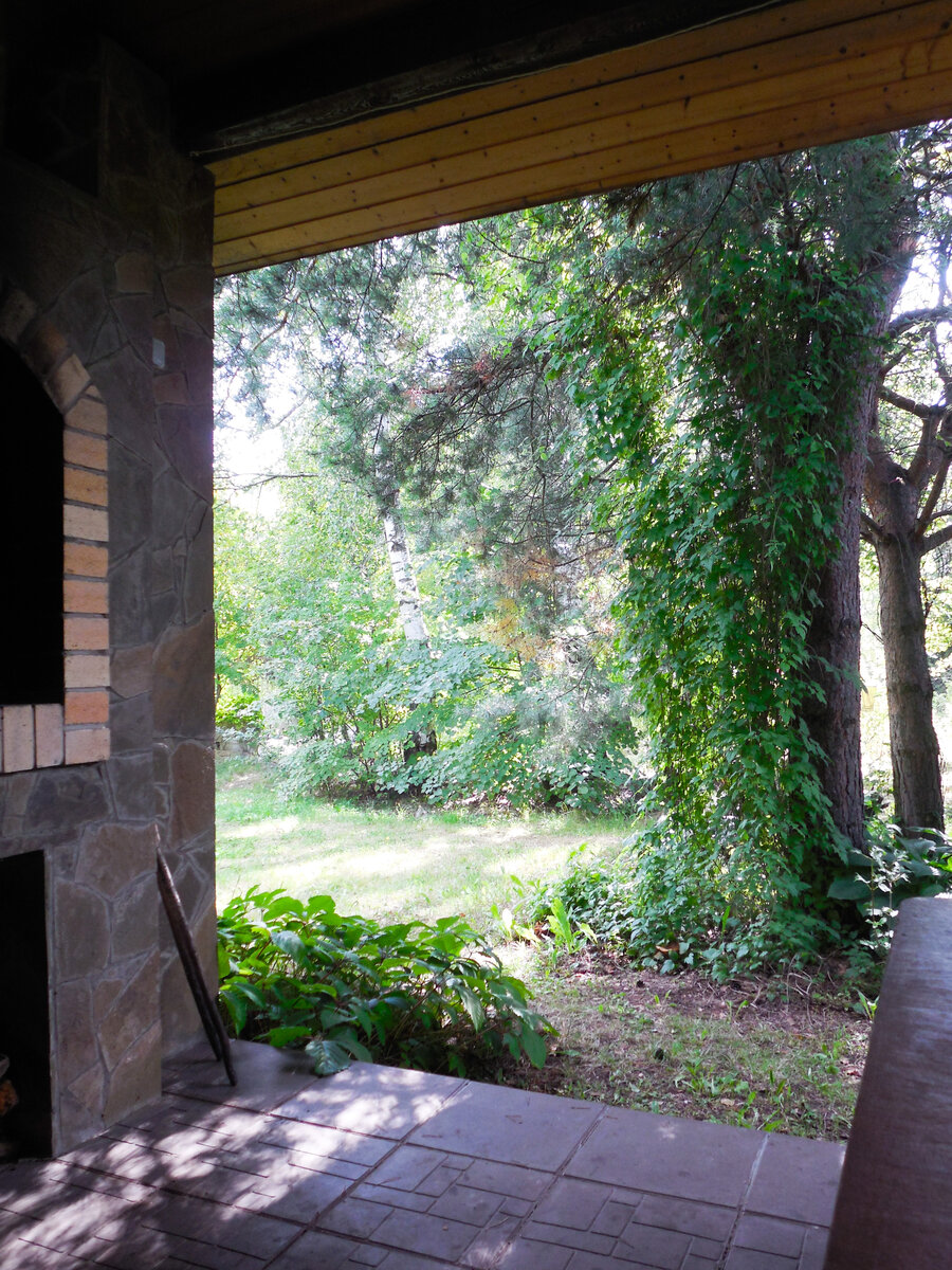 Вид на лесной участок из беседки. Сидя на садовом диване за столом