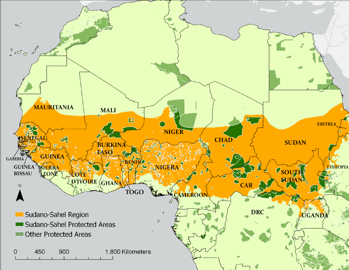 Зона сахель страны. Сахара Сахель. Зона Сахеля. Зона Сахеля в Африке на карте. Зона Сахеля в Африке.