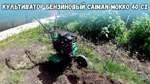 Отзывы и комментарии