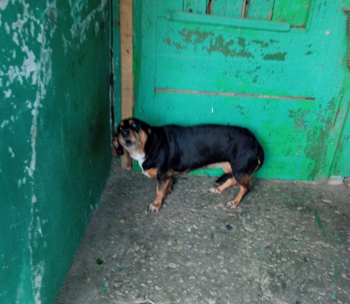 Малышку многие там обижали