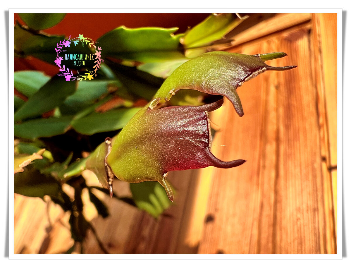 По мне так супер-классно выглядит )) Но многих почему-то пугает. Щас разберёмся, в общем.