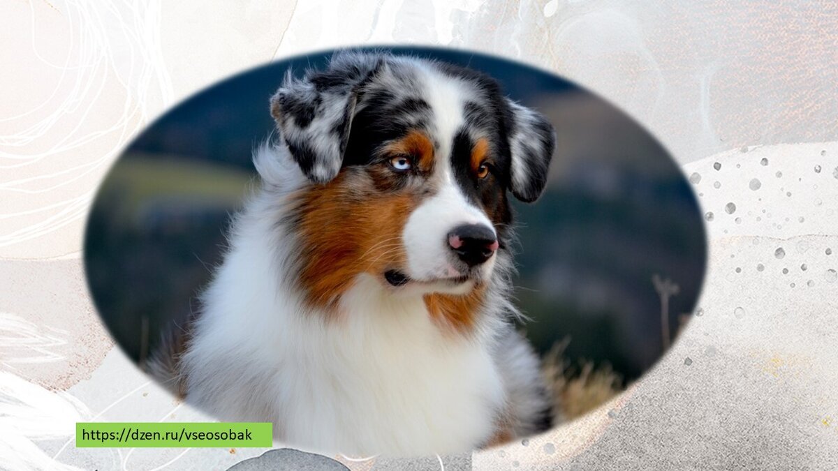 Из открытых источников