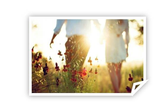 Взято в свободном доступе