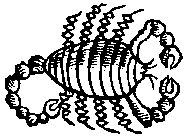 -15