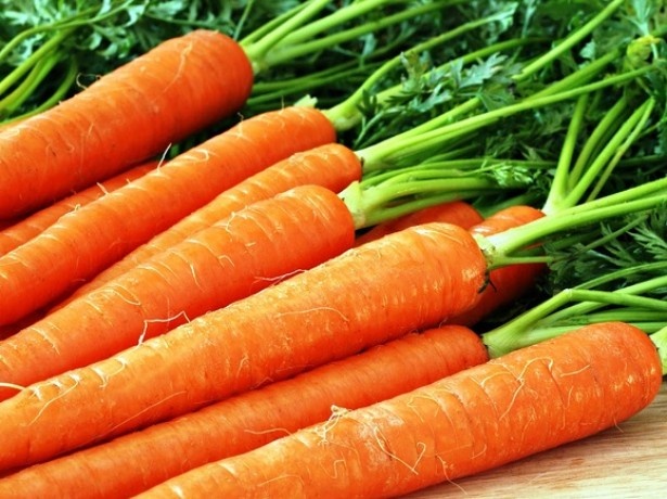 Чтобы не привлечь морковную муху при прореживании моркови, нужно взять ведро воды и развести в нем 1 столовую ложку красного или черного молотого перца (хватит на 10 кв.м).