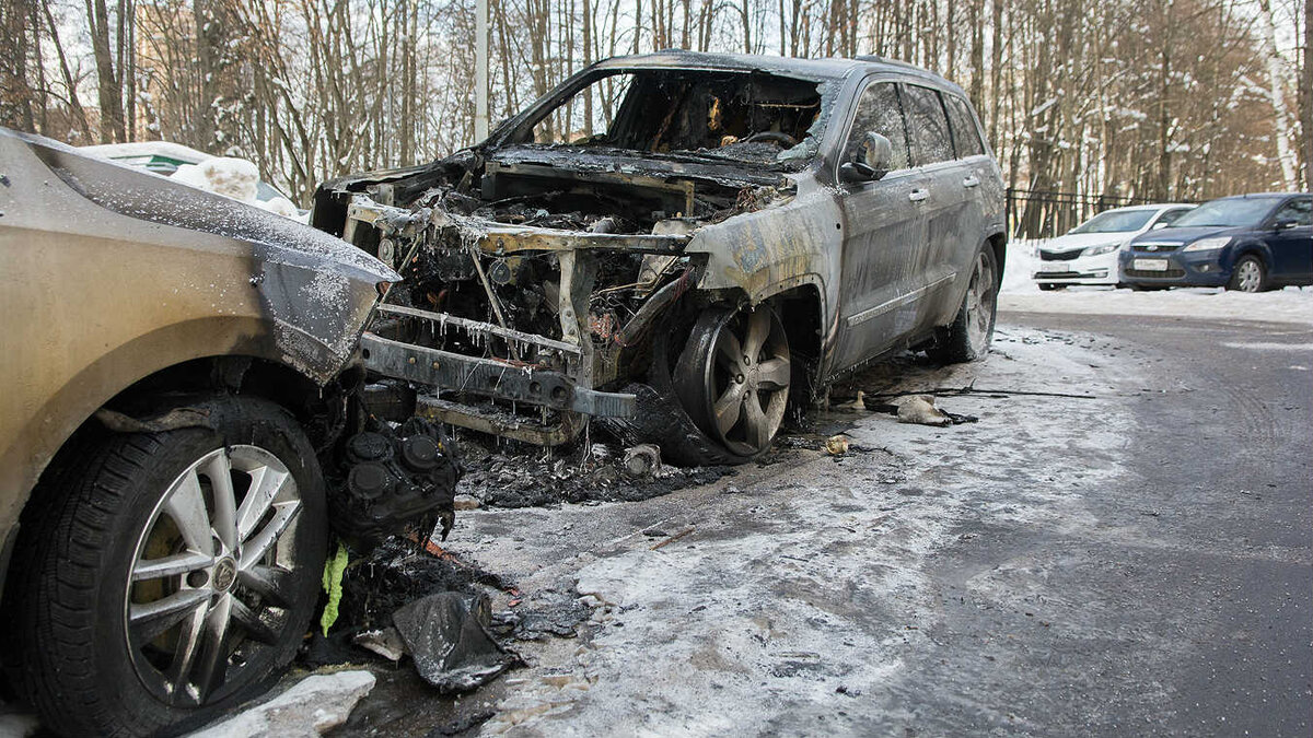 фото: Александр Сайганов