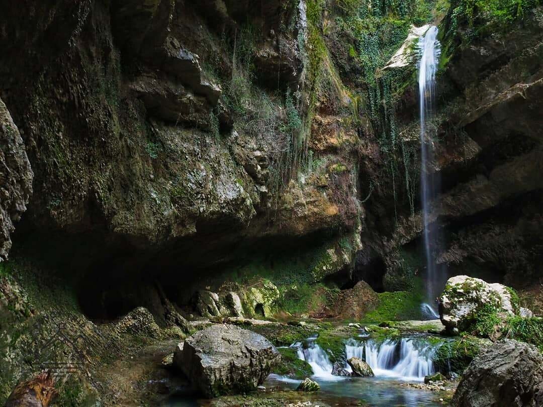 Пасть дракона сочи фото