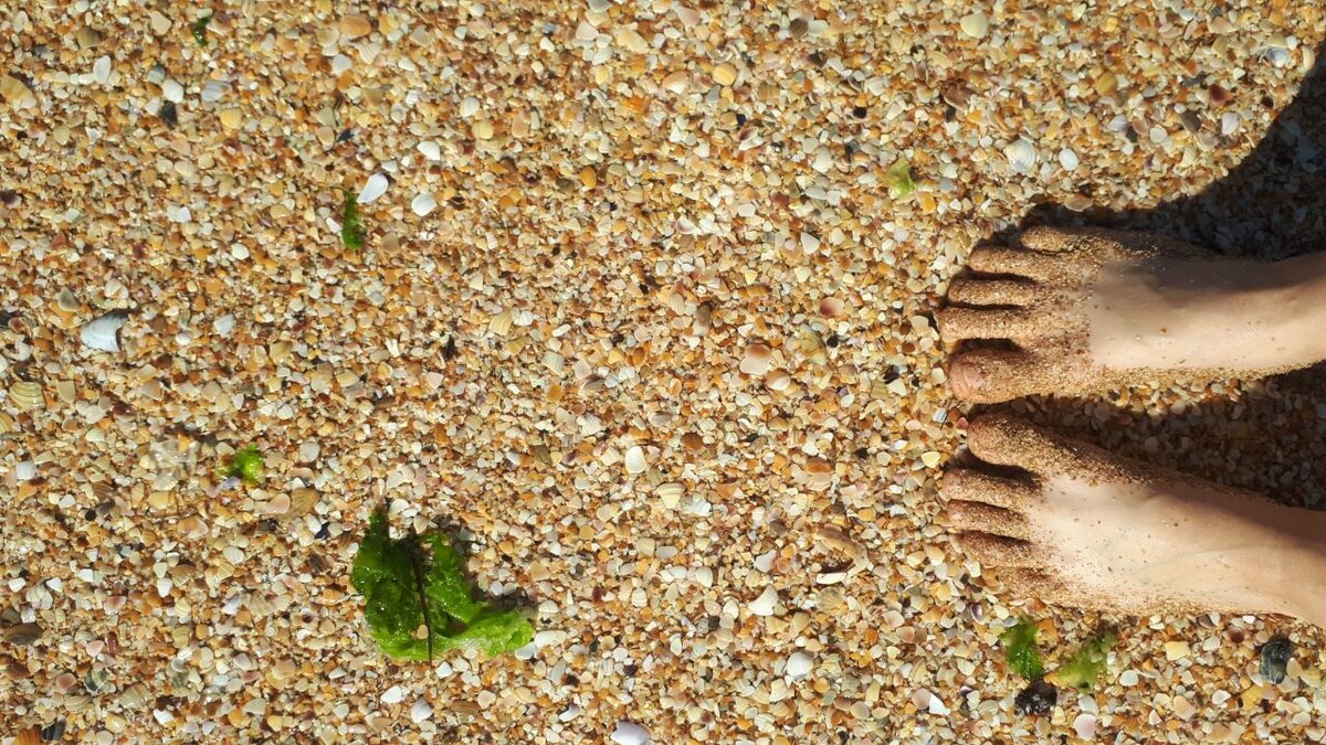 В феодисии пляжи из ракушечного песка