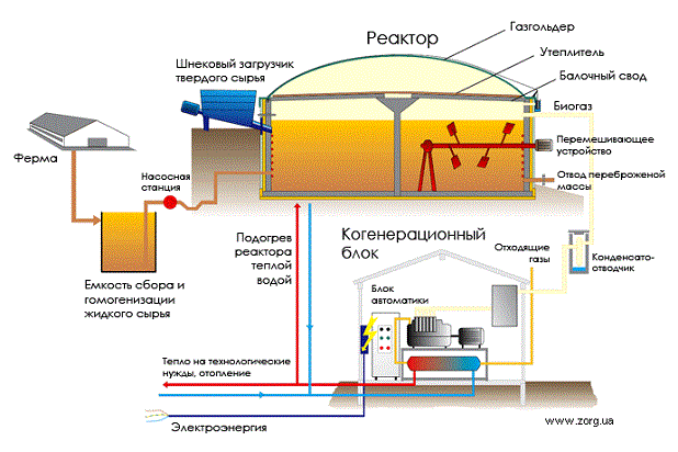 Своими руками: биогаз из навоза и травы