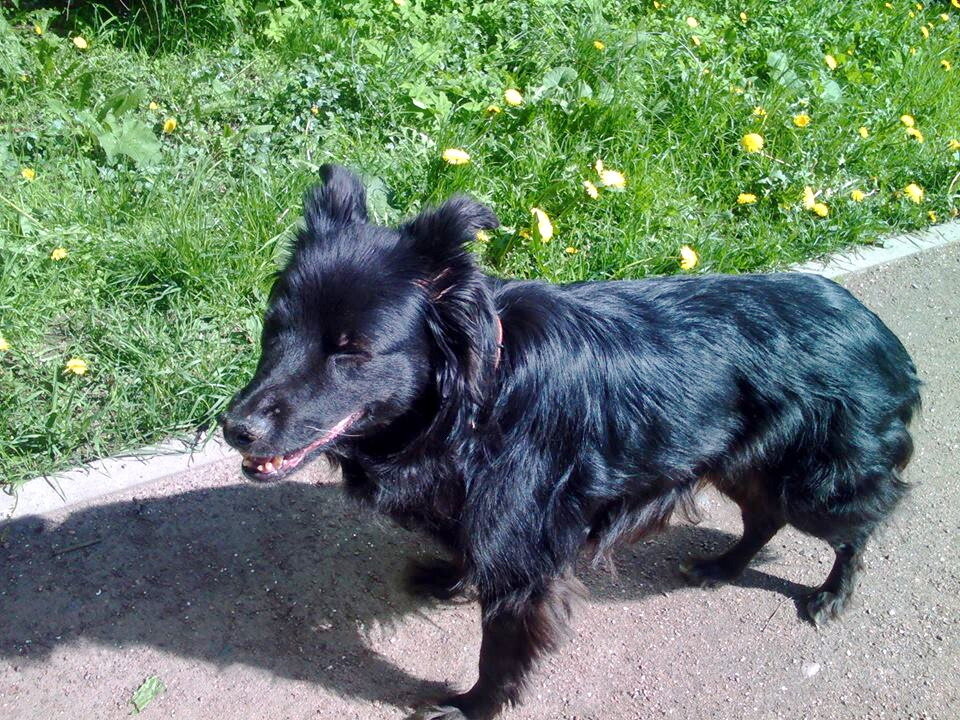 на прогулке)