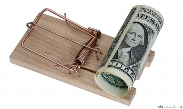 Как за две недели обеспечить себя на ближайший год.