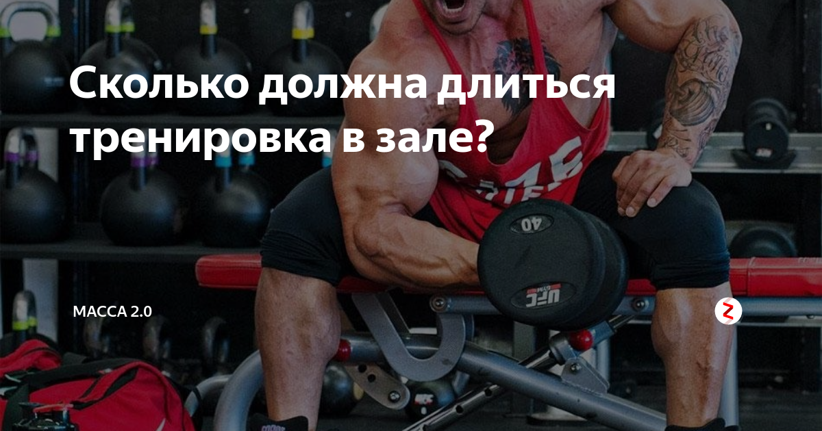 Длиться тренировка. Тренировка спина бицепс. Тренировка раз в неделю. День спины и бицепса. Тренировки продолжаются