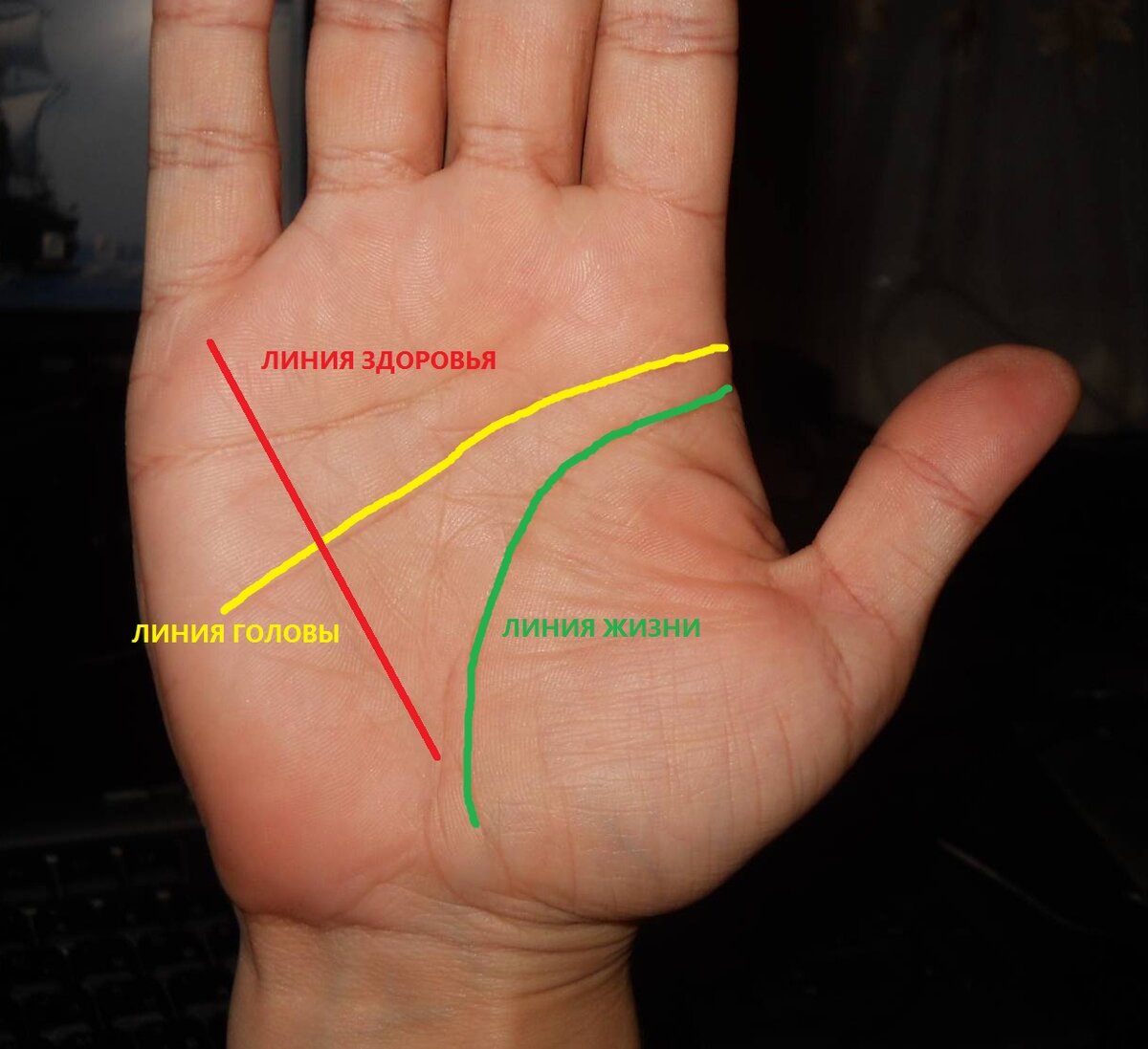 Покажи линию жизни. Линия здоровья на руке фото с расшифровкой. Линии на ладони расшифровка с фото. Хиромантия линии на руке расшифровка с фото. Линии судьбы Костя.