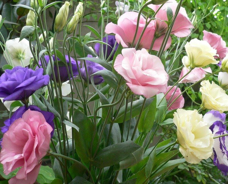 Фото из сайта: lovely-dom.ru