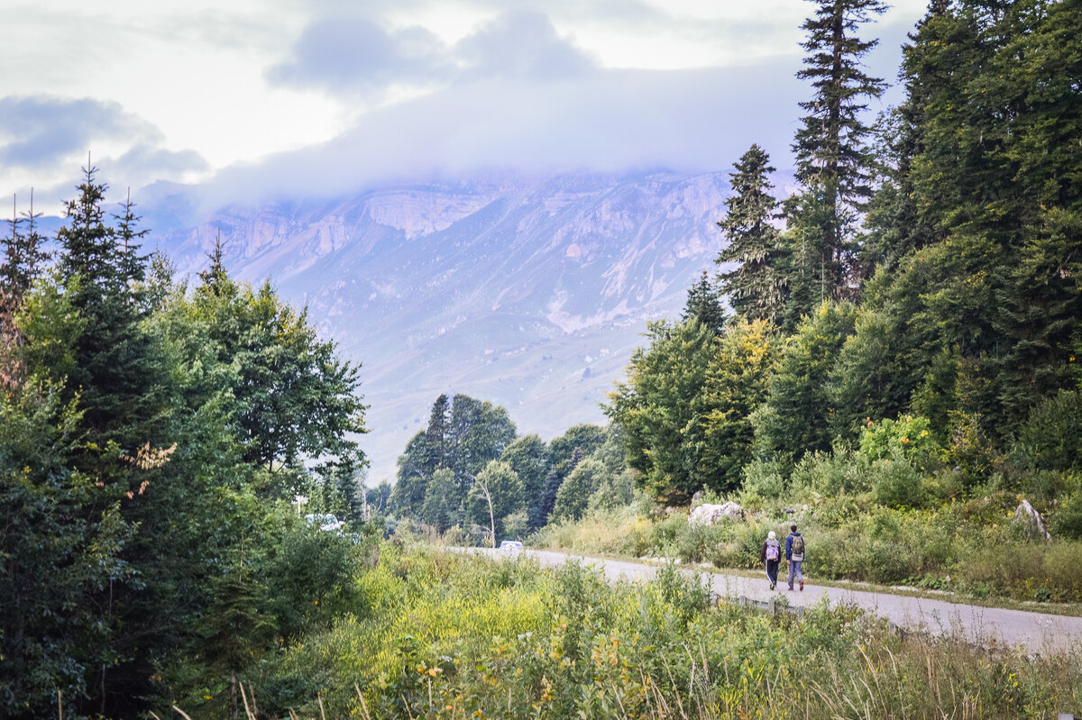 По дороге к Яворовой поляне