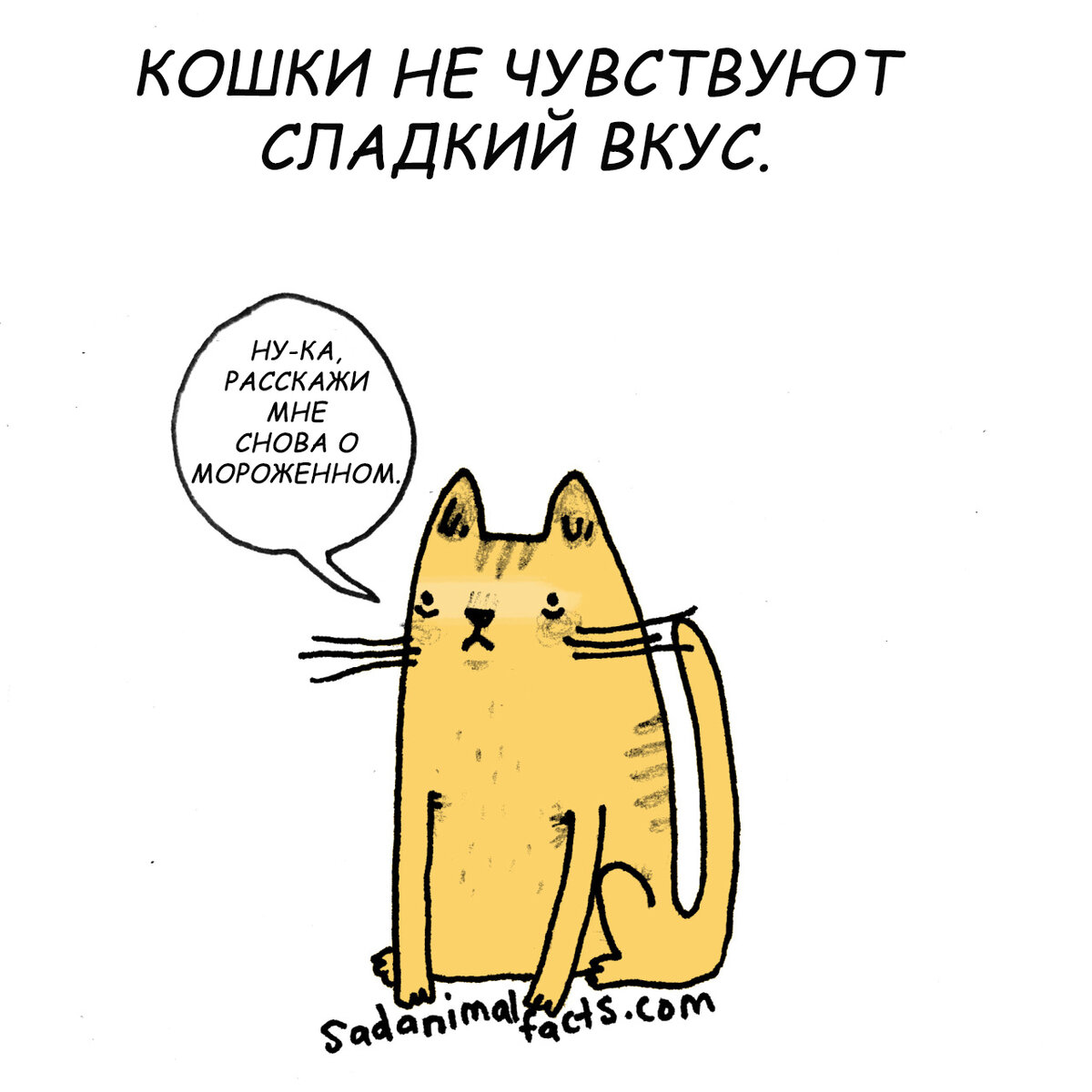 Бедные котики!