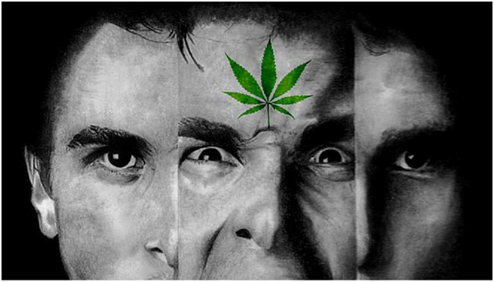 Шизофрения и марихуана сушенная конопля фото
