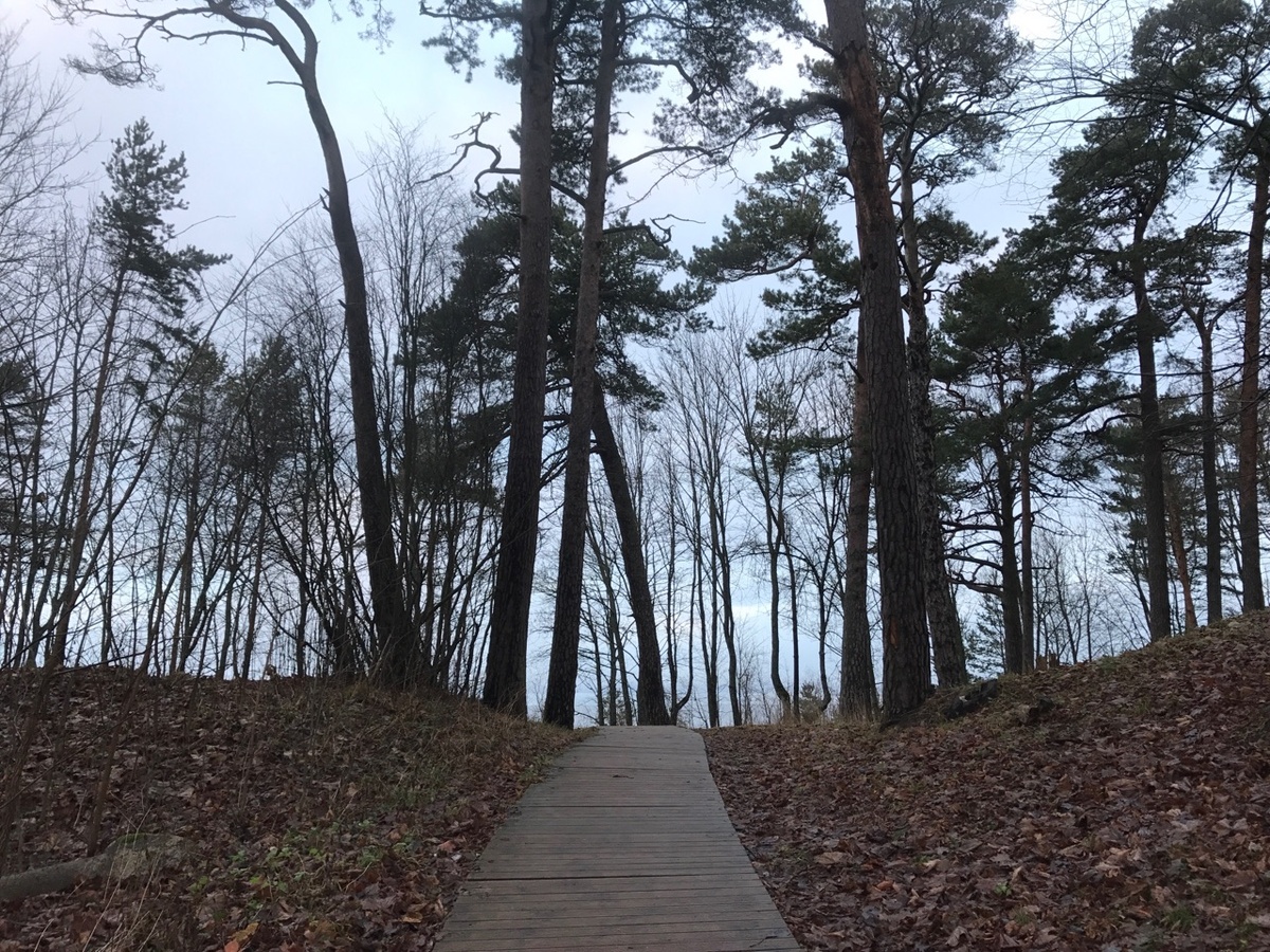 Дорожка ведущая к заливу