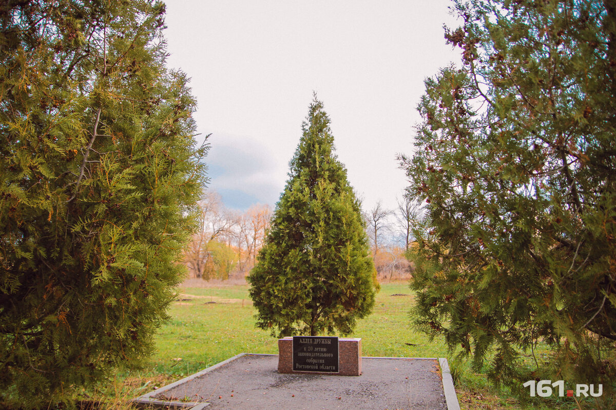 В Ботаническом саду есть аллея дружбы