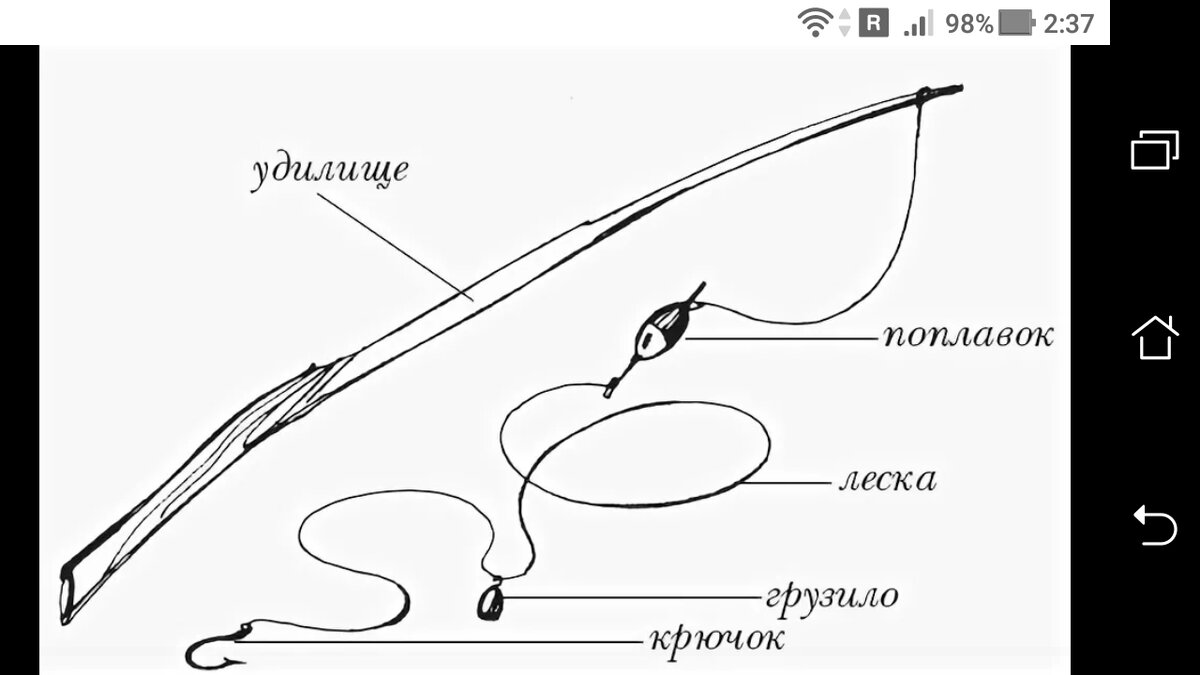 Как рисовать леску