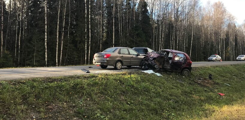 Фото: УМВД по ВО