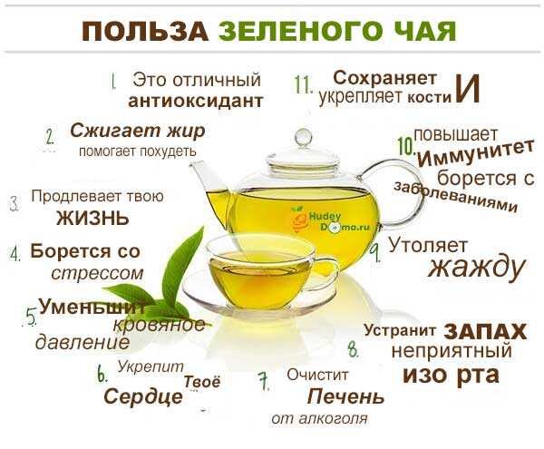 полезность зеленого чая