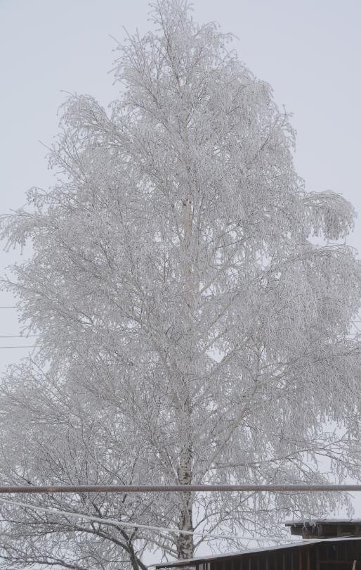ритуал на счастье вас будет ждать в конце статьи