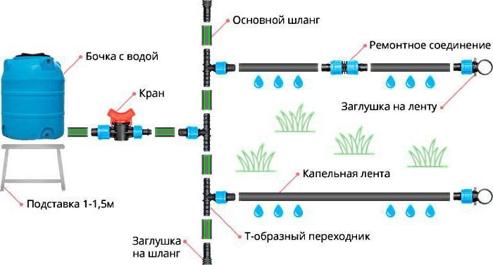 пример системы капельного полива.