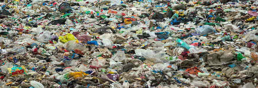 Свалки заполонили все вокруг.
