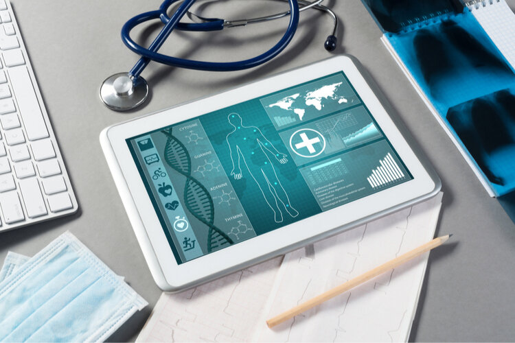 Фото: Khakimullin Aleksandr/Shutterstock.com