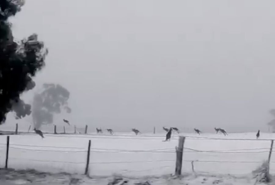 Скриншот из видео  Life With Weather . Stephen Grenfell/Twitter