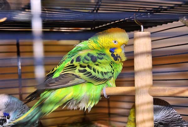 Источник фото: getlink.pro