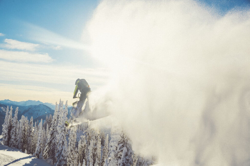 Снегоход Ski-Doo Freeride 2020
