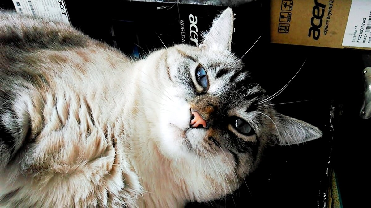 Так, обычно, выглядит адвокат, уверенный в невиновности своего подзащитного