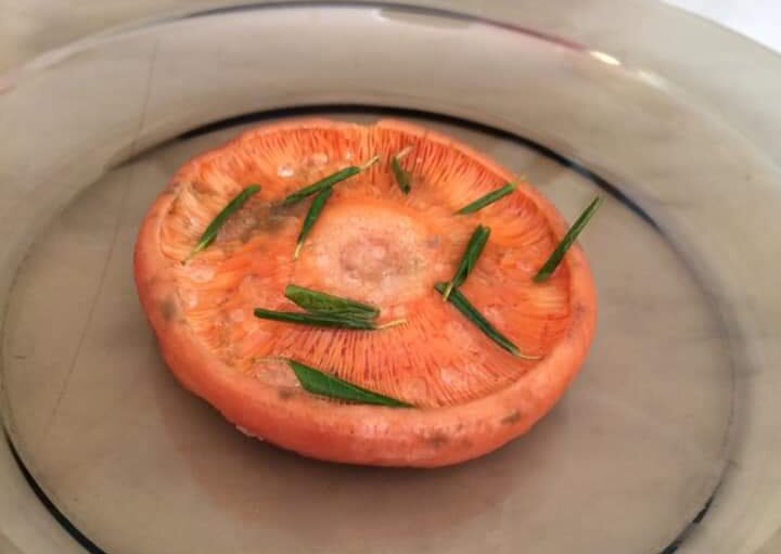 Рыжик суточного посола