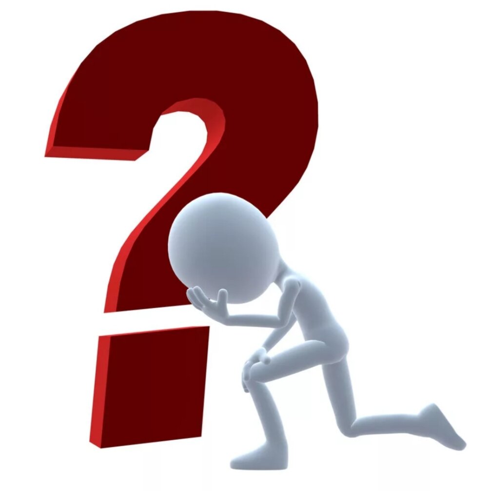 фото из интернета.