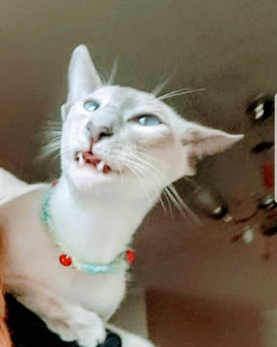 Снимок из инстаграма 