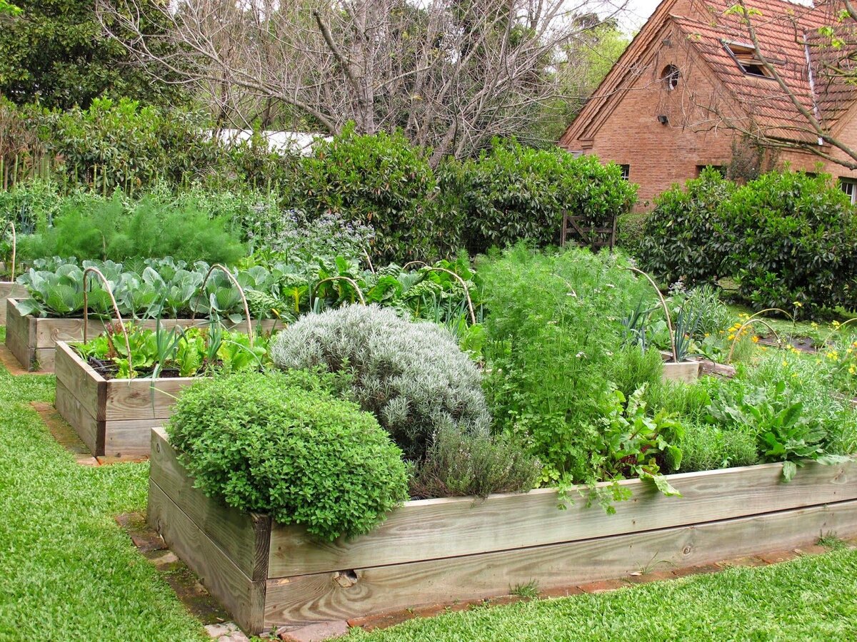      Идея оформления огорода. Фото Загородные идеи.