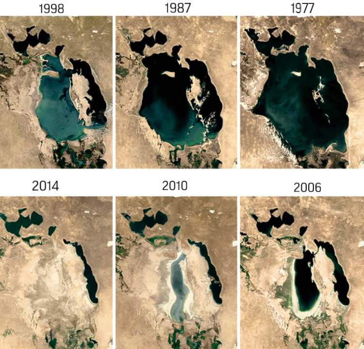 Аральское море фактически распалось на части - Большой и Малый Ареал.