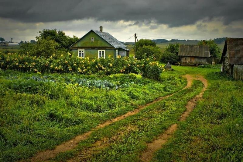 Яндекс. Коллекции