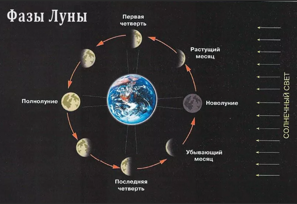 Месяц сколько получается. Фазы Луны схема. Ф̆̈ӑ̈з̆̈ы̆̈ Л̆̈ў̈н̆̈ы̆̈. Цикл лунных фаз. Схема новолуния и полнолуния.