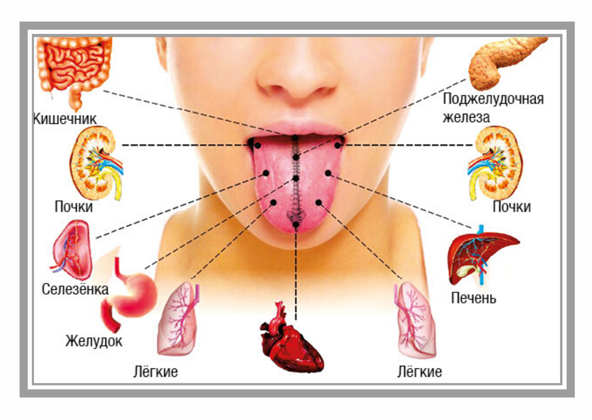 Болезни органов человека по языку
