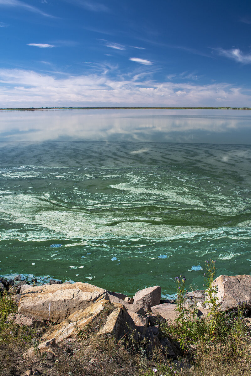 Пейзажи Горького озера. Правда можно им поставить класс?