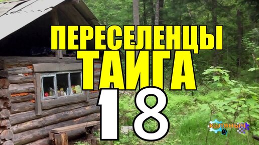 Порка раба кнутом — Video | VK