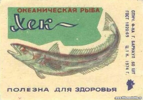 Картинка из открытых источников.