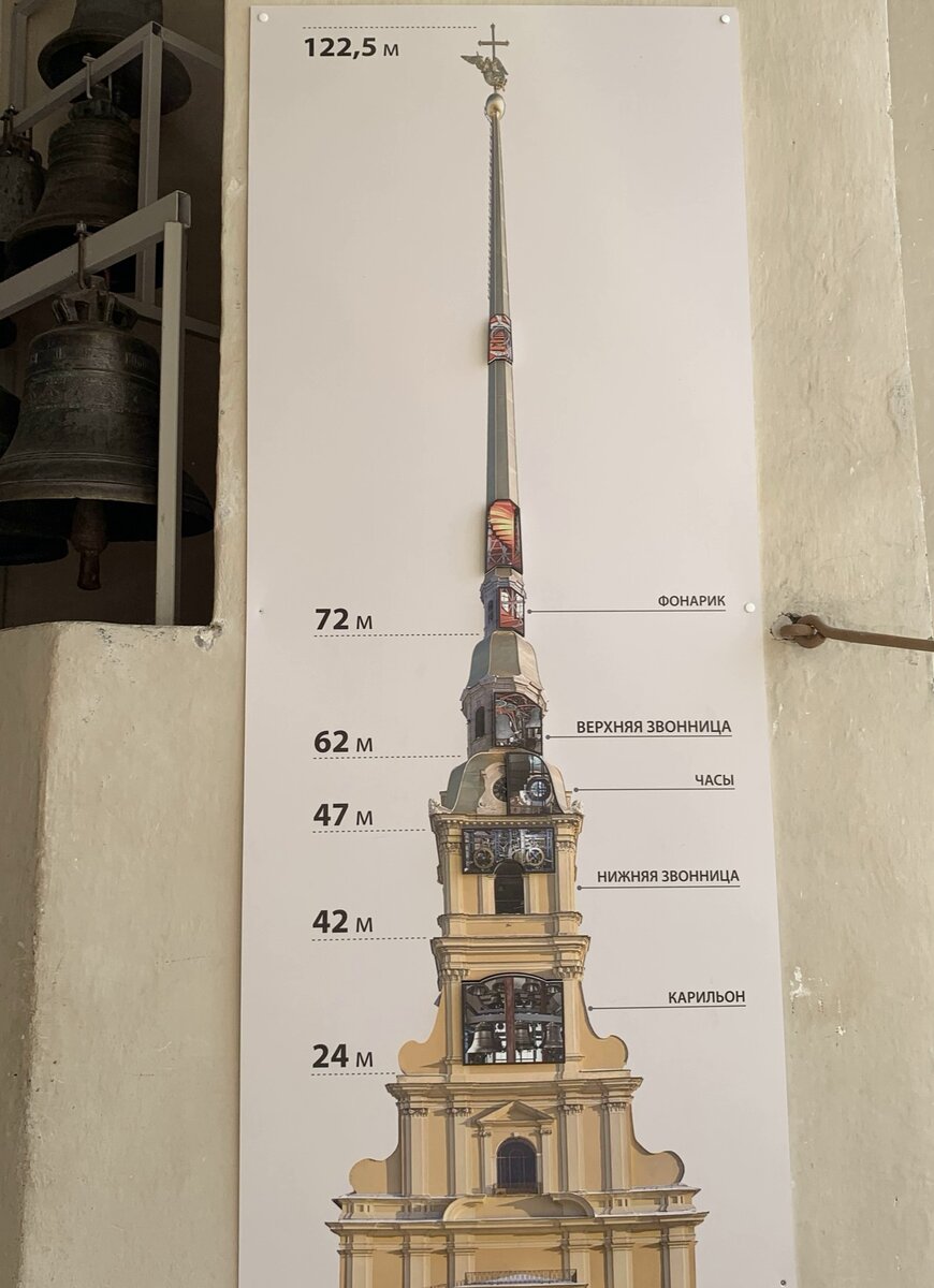 Подъем на колокольню Петропавловского собора - как попасть и что можно  увидеть | А что в Петербурге | Дзен