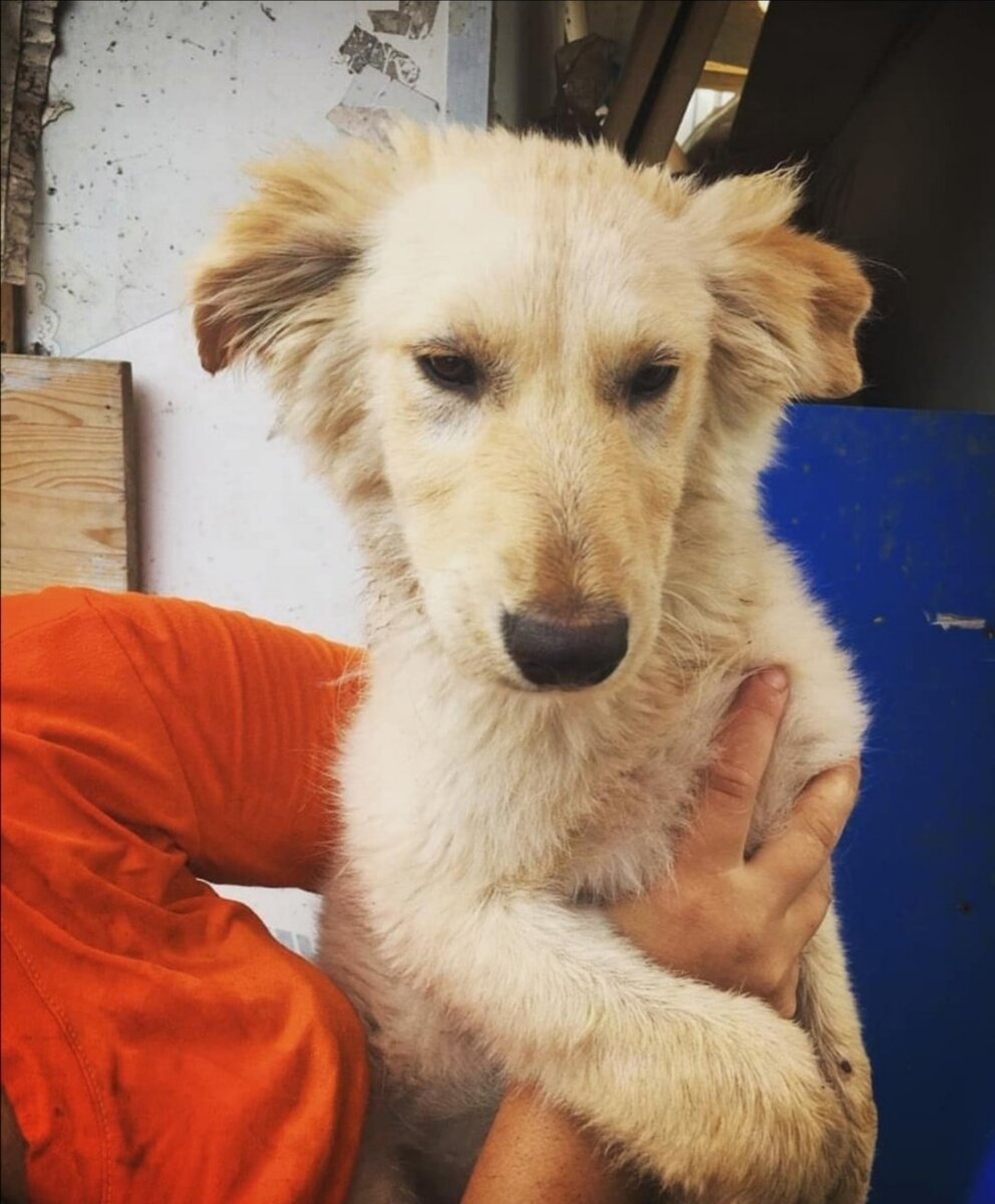 Ненси где-то пол года, как нам сообщили, исходя из того, когда ее нашли. 