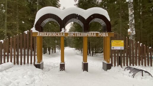 Зимняя прогулка в заказнике Линдуловская роща