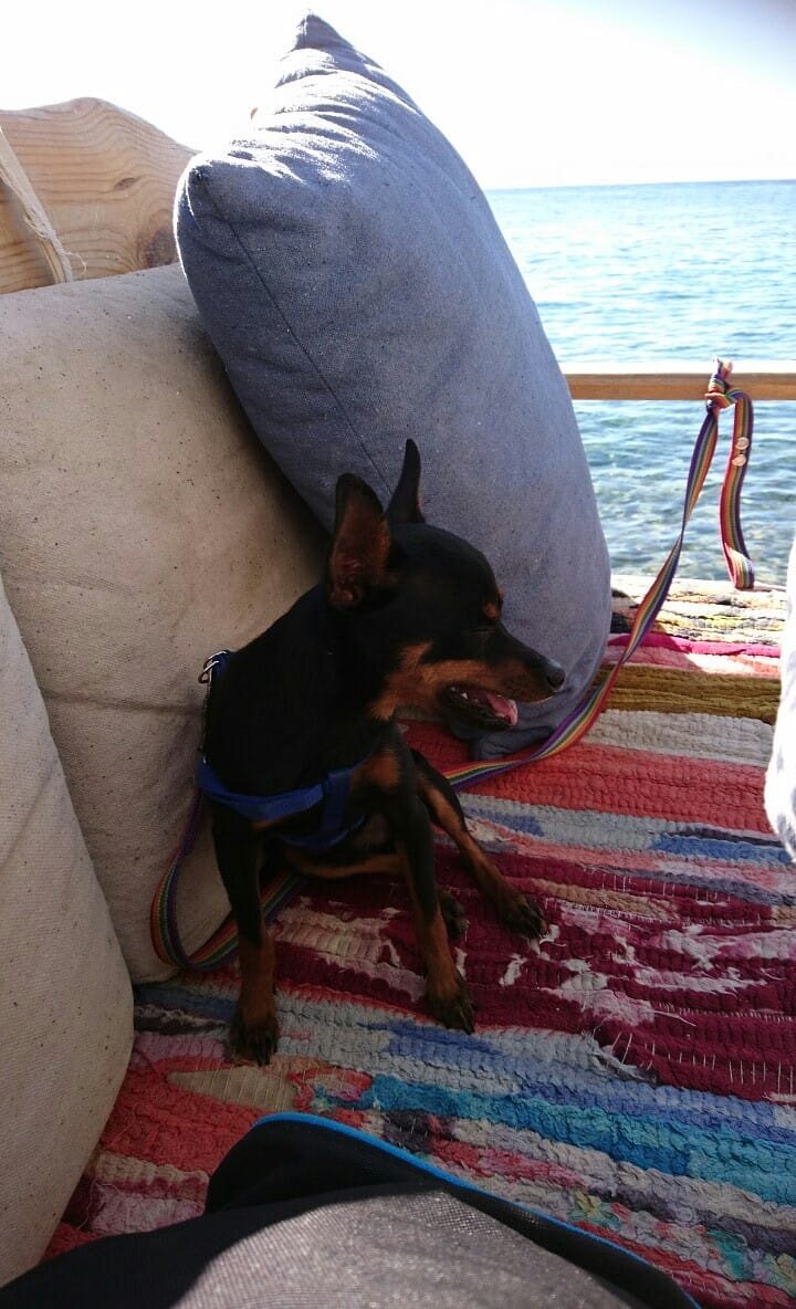 Патрик и море