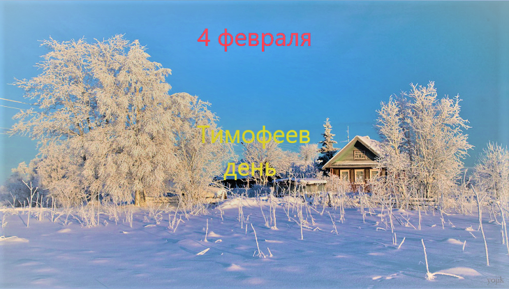 тимофеев день.